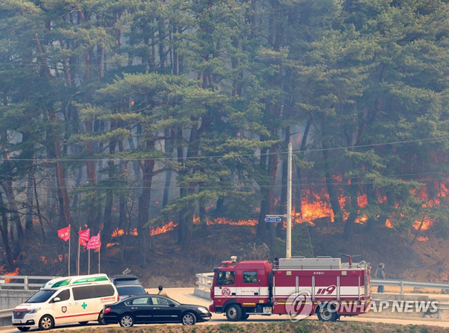 韓國江原道山火已致1死16傷