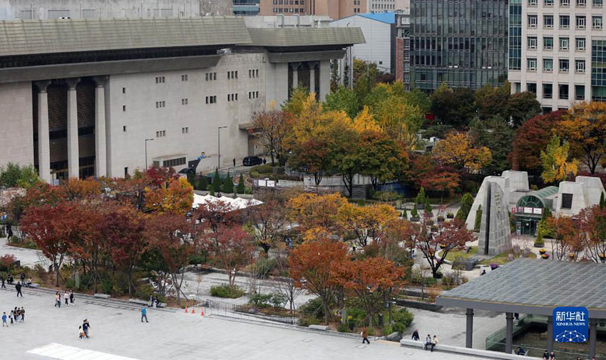 这是11月5日拍摄的韩国首尔市的秋景。新华社记者 姚琪琳 摄