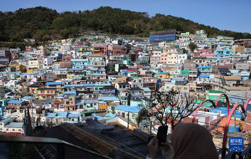 這是11月9日拍攝的韓國釜山市甘川文化村。新華社記者 姚琪琳 攝
