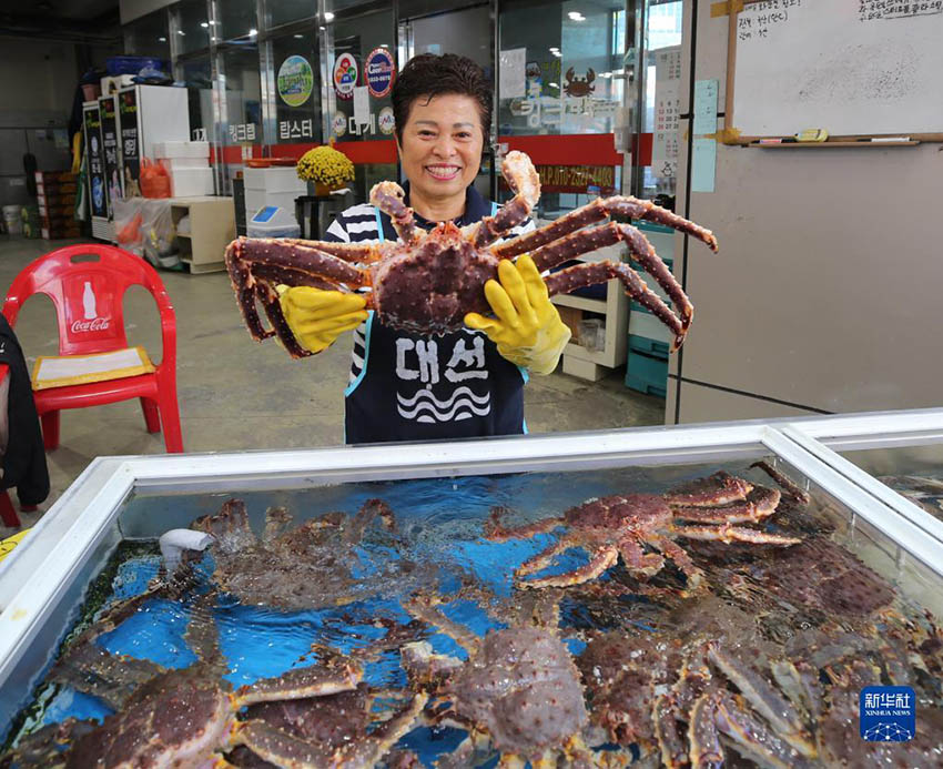 11月10日，在韓國釜山機張郡附近，一名水產商人展示售賣的帝王蟹。新華社記者 姚琪琳 攝