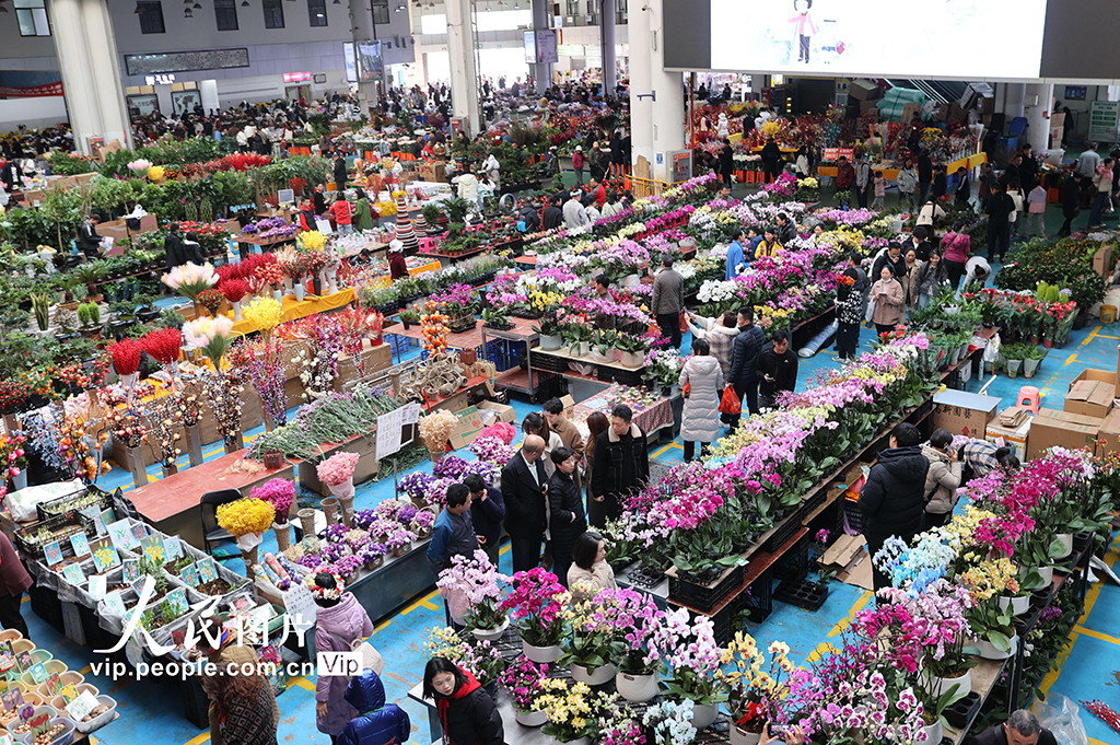 雲南昆明：新年鮮花俏銷