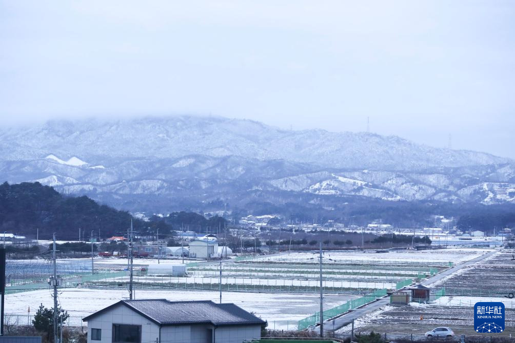 這是1月21日在韓國江陵市拍攝的雪景。新華社記者 姚琪琳 攝