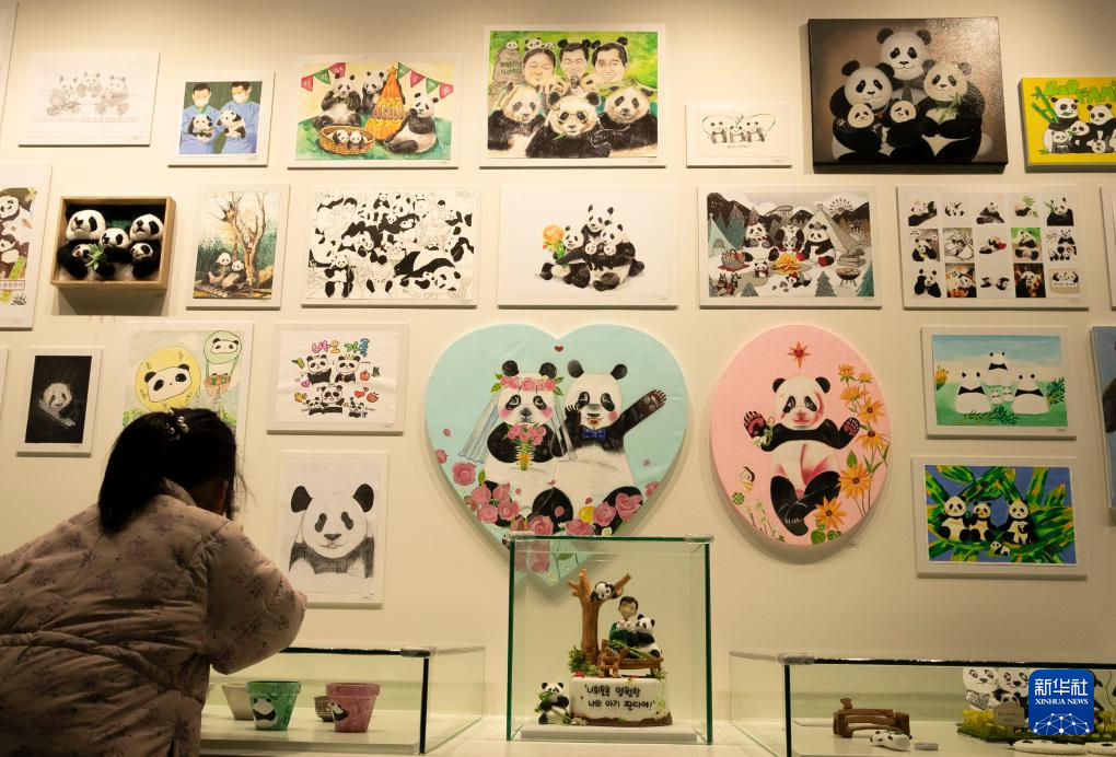 2月20日，小朋友在看福寶家族的創意作品。新華社記者 姚琪琳 攝
