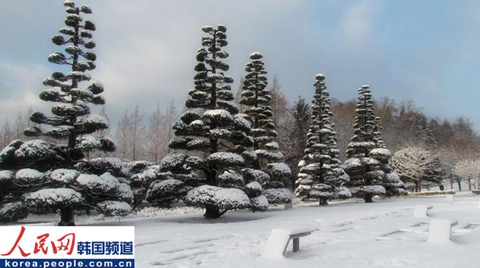 重温韩国浪漫白色圣诞节 (6)