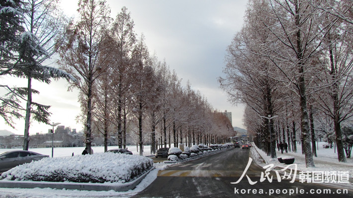 韩国全南大学冬季校园一景（摄影：彭巾妮）