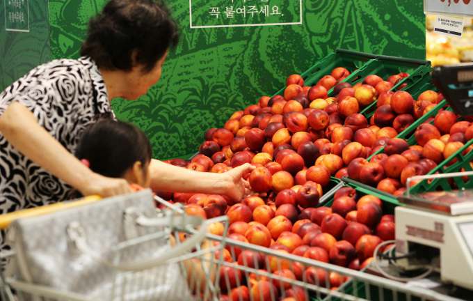 高清】韩国漫长梅雨季国产水果价格暴涨