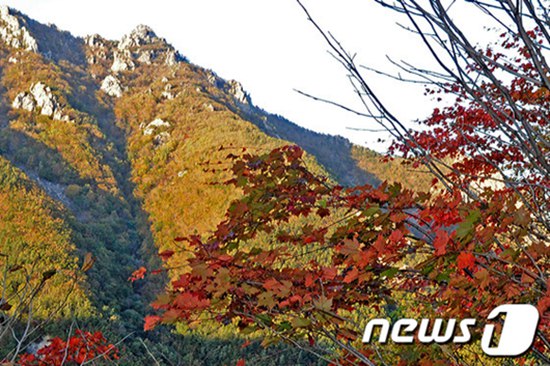 图为层林尽染的雪岳山。图片来源：韩国NEWS1
