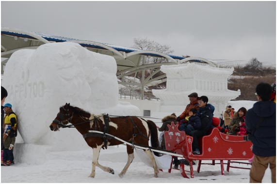 在雪花节现场尽情体验雪原马车。不仅是孩子，也将大人们带回了童年。