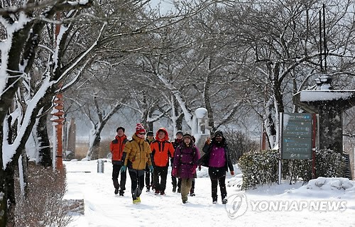 江陵雪景（图片来源：韩联社）