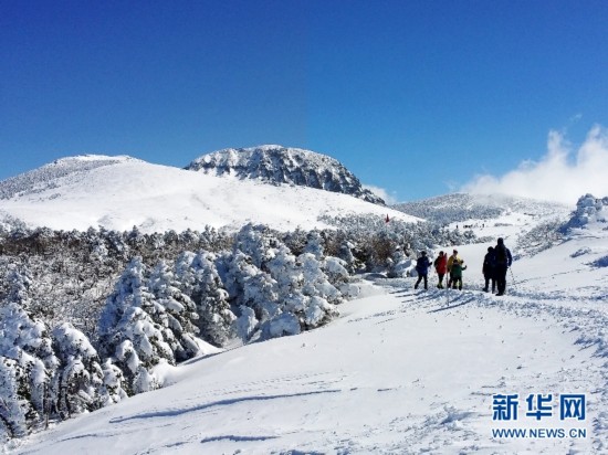 2月15日，登山者攀登韩国汉拿山御里牧线的四燕小山。新华社记者彭茜摄。