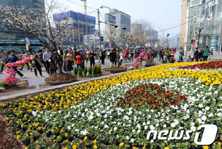 韩国清溪广场上百花齐放，春意甚浓。（图片来源：News1）