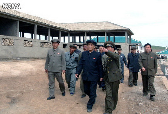朝鲜总理视察牲畜基地 要求干部增强责任感(图)