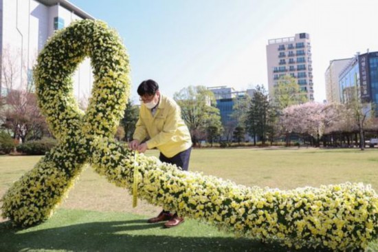2021年4月16日，韓國迎來“世越號”沉船事故7周年紀念日。圖為在仁川市教育廳中央草坪廣場設置的象征追悼遇難者的黃絲帶。(圖片來源：韓國《中央日報》)