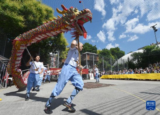 維也納舉辦少林文化節