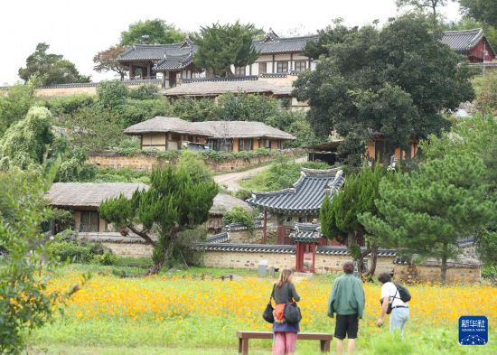 10月17日，游客在韩国庆州保留朝鲜时代原貌的古村良洞村参观。新华社记者 姚琪琳 摄