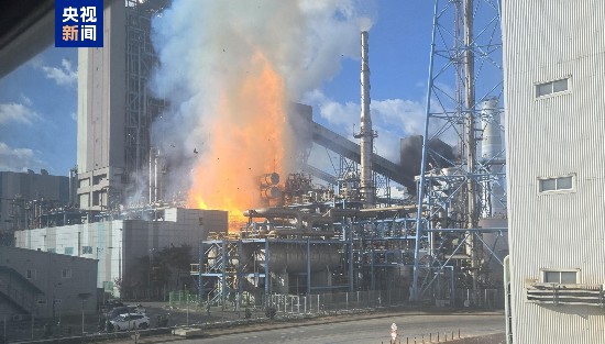 K8凯发VIP入口|听话 坐下去就不疼了|社会--韩国频道-